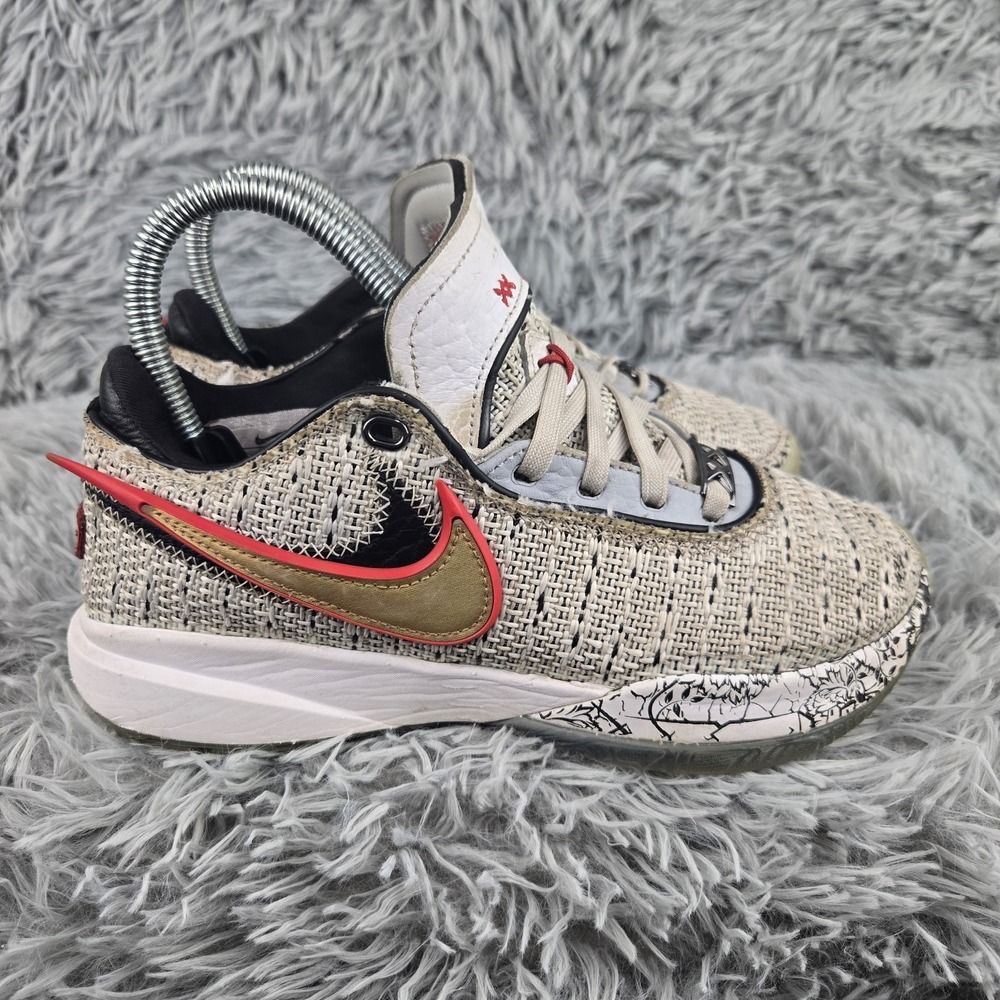 Nike Kids 4Y Sesame LeBron XX GS Stockholm‎ DJ5423-100 Basketball Shoes